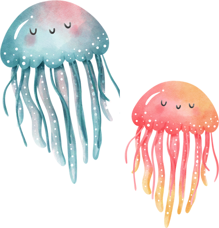 jellyfish