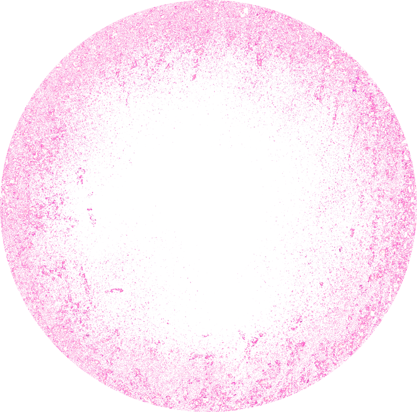 pink gold circle